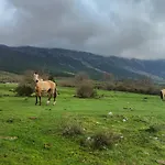 El Rincon