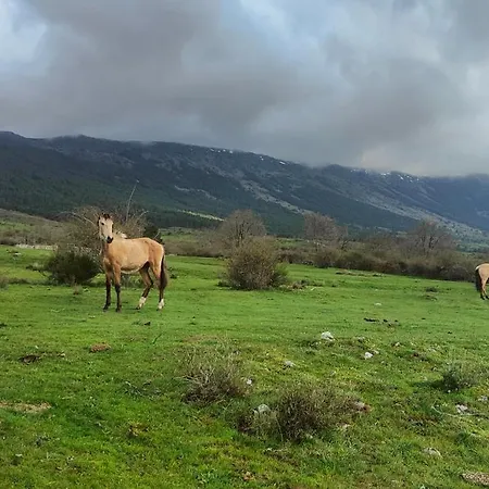 El Rincon